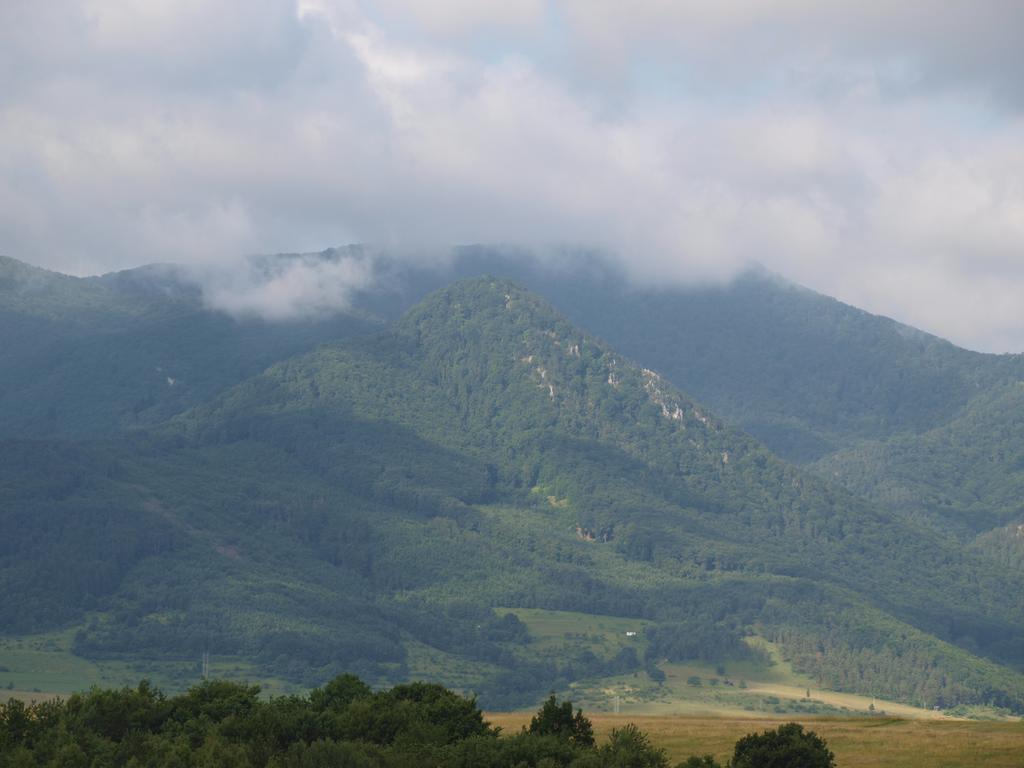 Penzion Koruna Nitrianske Rudno Exteriér fotografie